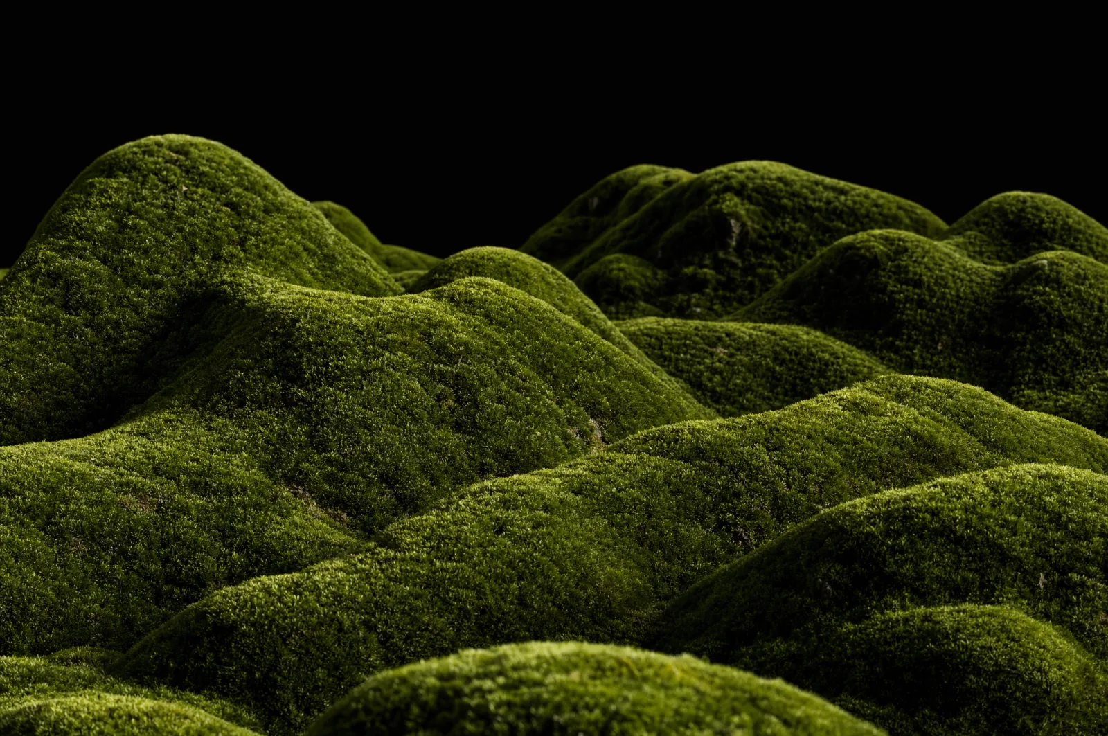 Paisagem de musgo verde ondulada em 3D sobre fundo escuro