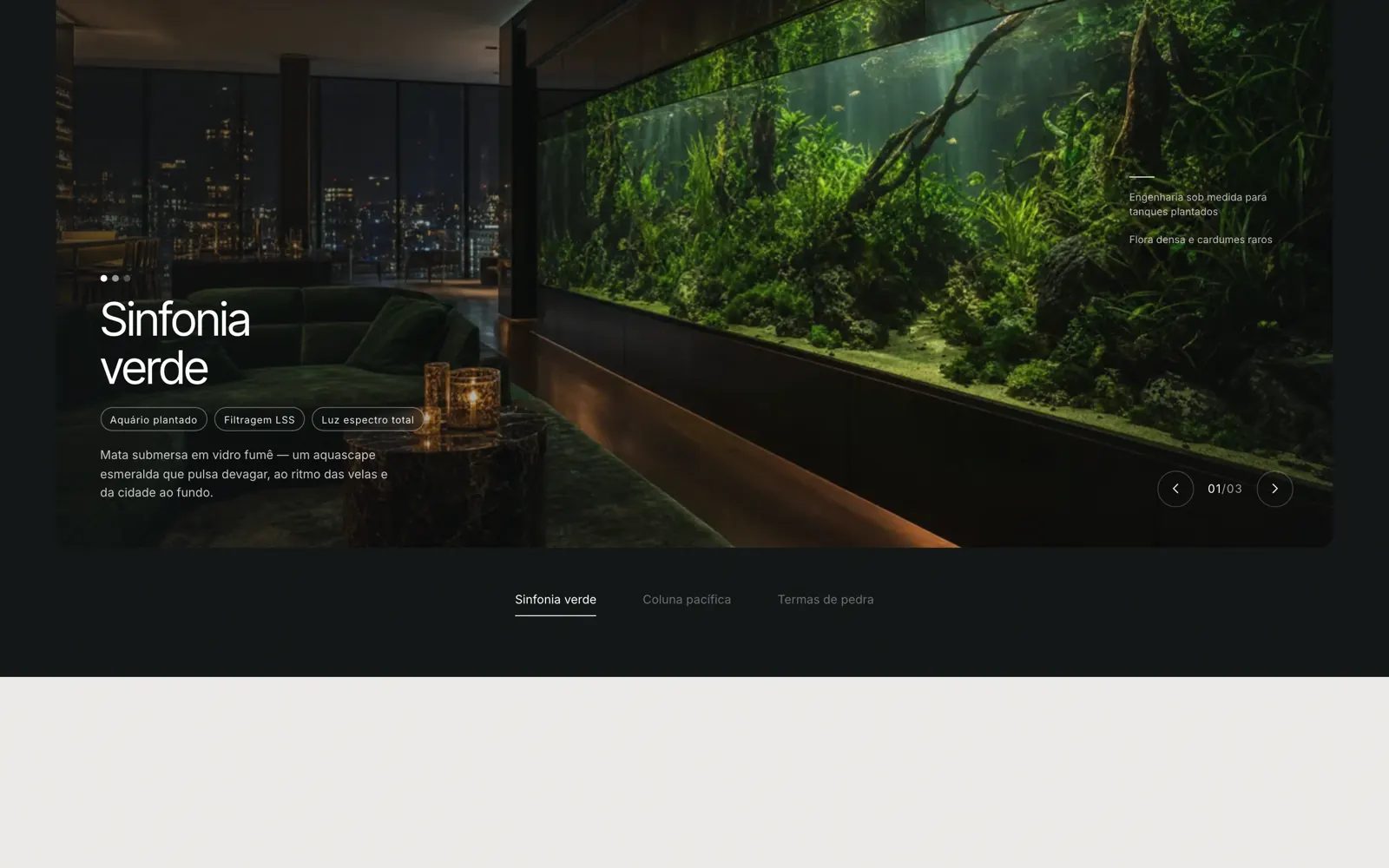 Slider de projetos com tabs sublinhadas